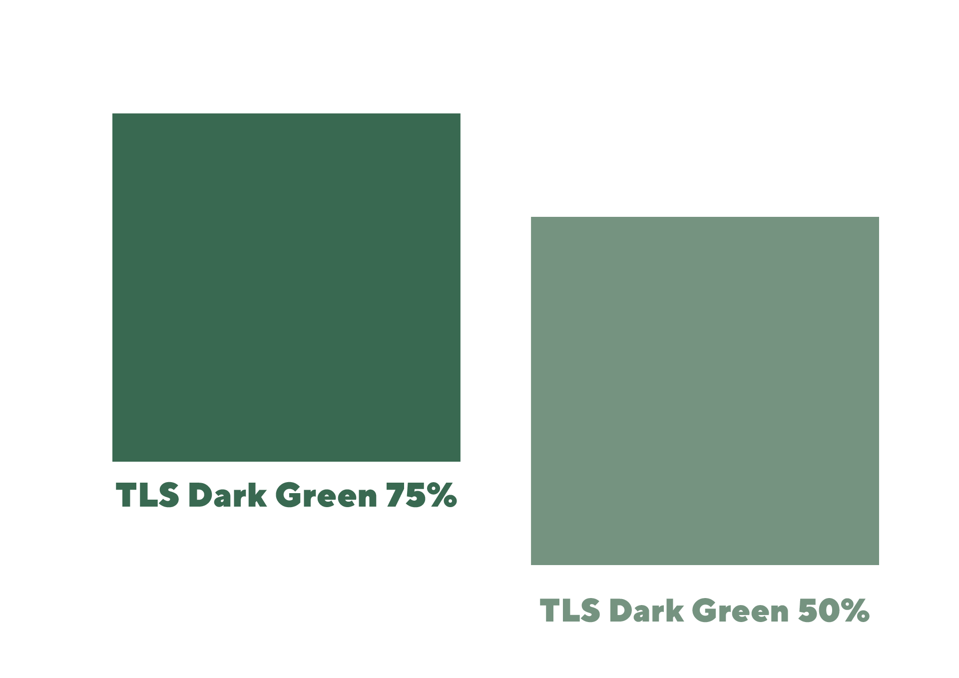 Zeichenfläche 1 Kopie