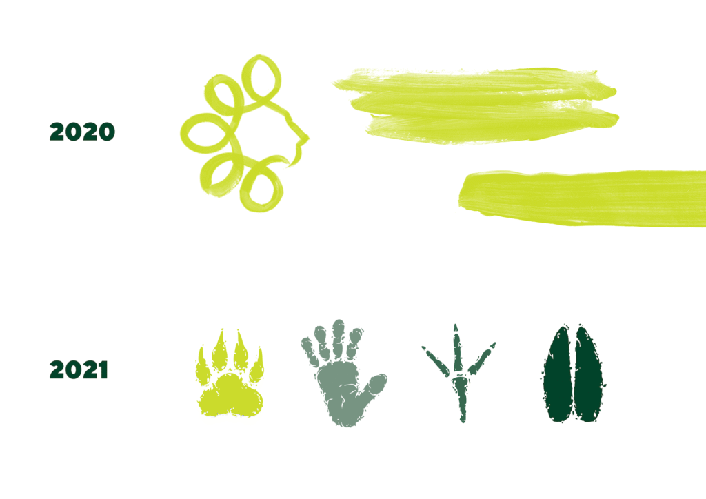 visual elements of the report design