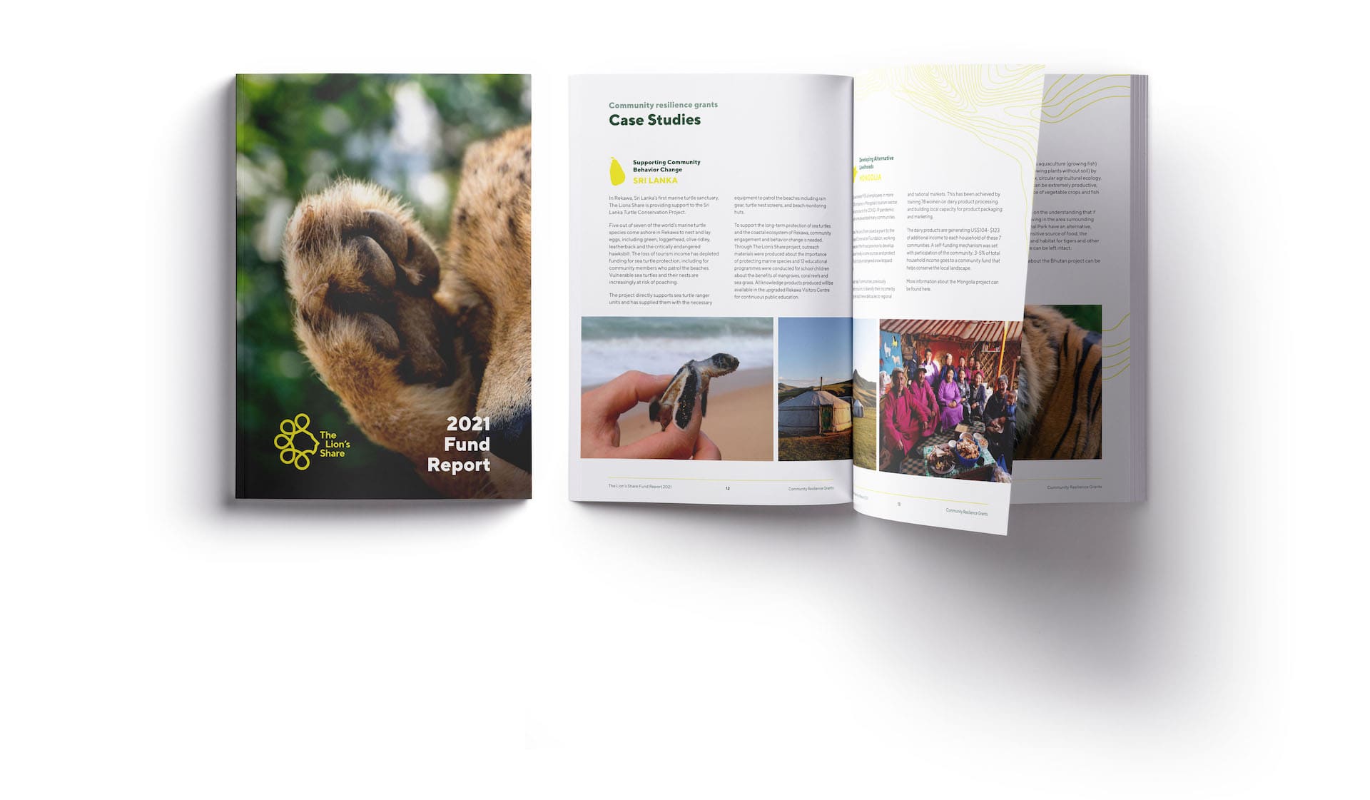 mockup of printed publication